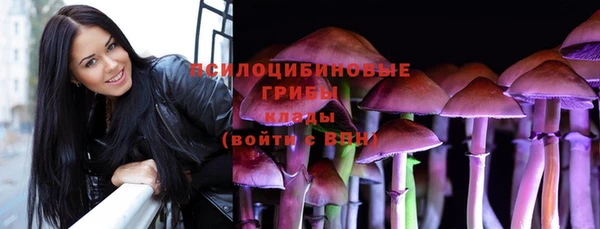 мяу мяу мука Армянск