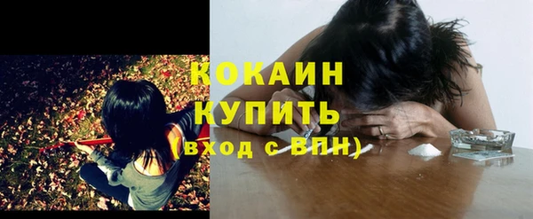 хмурый Арсеньев