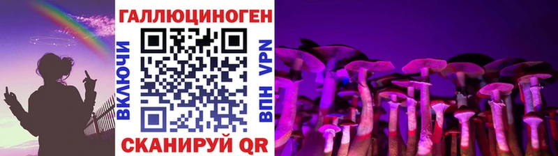 KRAKEN маркетплейс  Кемерово  Галлюциногенные грибы Psilocybine cubensis 
