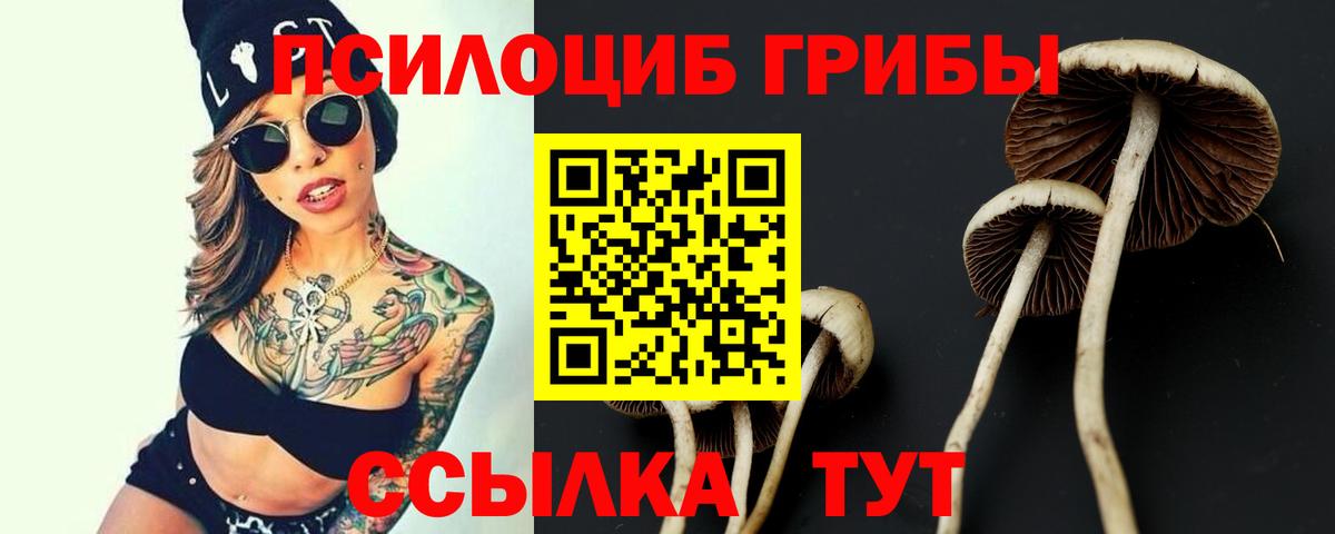 Галлюциногенные грибы мухоморы  Псилоцибиновые грибы Magic Shrooms  Вход с VPN  Кемерово 