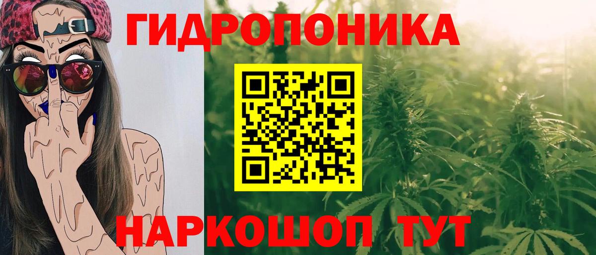 Кемерово  Бошки марихуана сатива  Вход с VPN  МАРИХУАНА White Widow  Бошки марихуана VHQ 